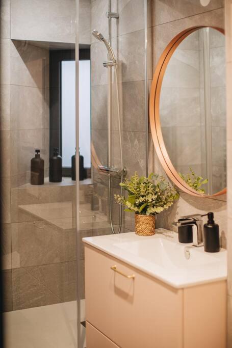 La Vie En Rose - Luxe, Calme & Hypercentre - 3* Apartment Annecy Ngoại thất bức ảnh