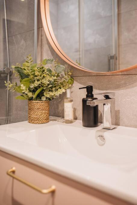La Vie En Rose - Luxe, Calme & Hypercentre - 3* Apartment Annecy Ngoại thất bức ảnh