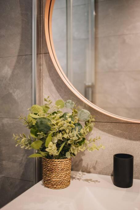 La Vie En Rose - Luxe, Calme & Hypercentre - 3* Apartment Annecy Ngoại thất bức ảnh