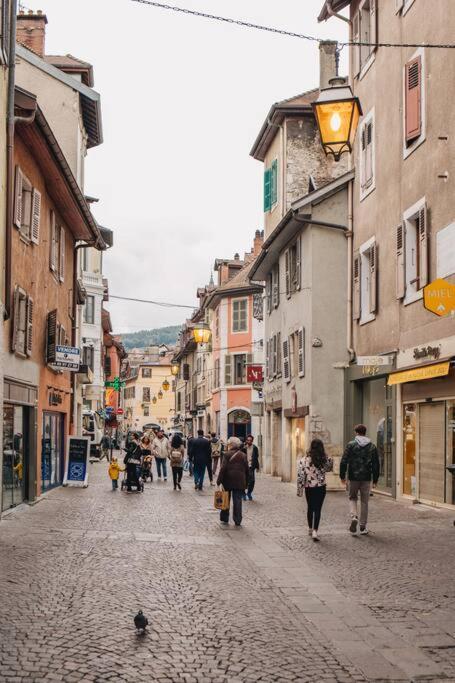 La Vie En Rose - Luxe, Calme & Hypercentre - 3* Apartment Annecy Ngoại thất bức ảnh