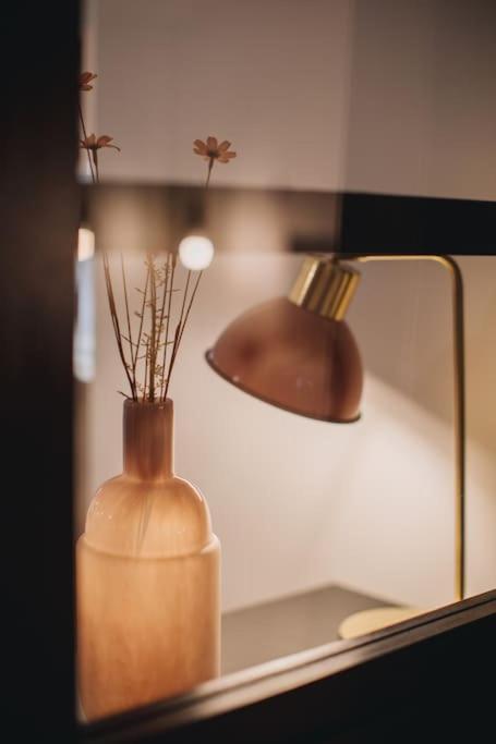 La Vie En Rose - Luxe, Calme & Hypercentre - 3* Apartment Annecy Ngoại thất bức ảnh