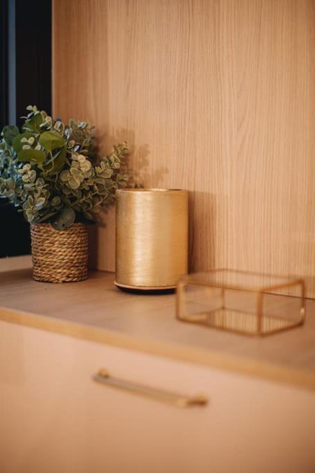 La Vie En Rose - Luxe, Calme & Hypercentre - 3* Apartment Annecy Ngoại thất bức ảnh